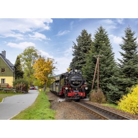 Motiv Fichtelbergbahn mit der Lok 99-1734-5