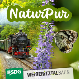 NaturPur – Mit Dampf zum Blütenzauber
